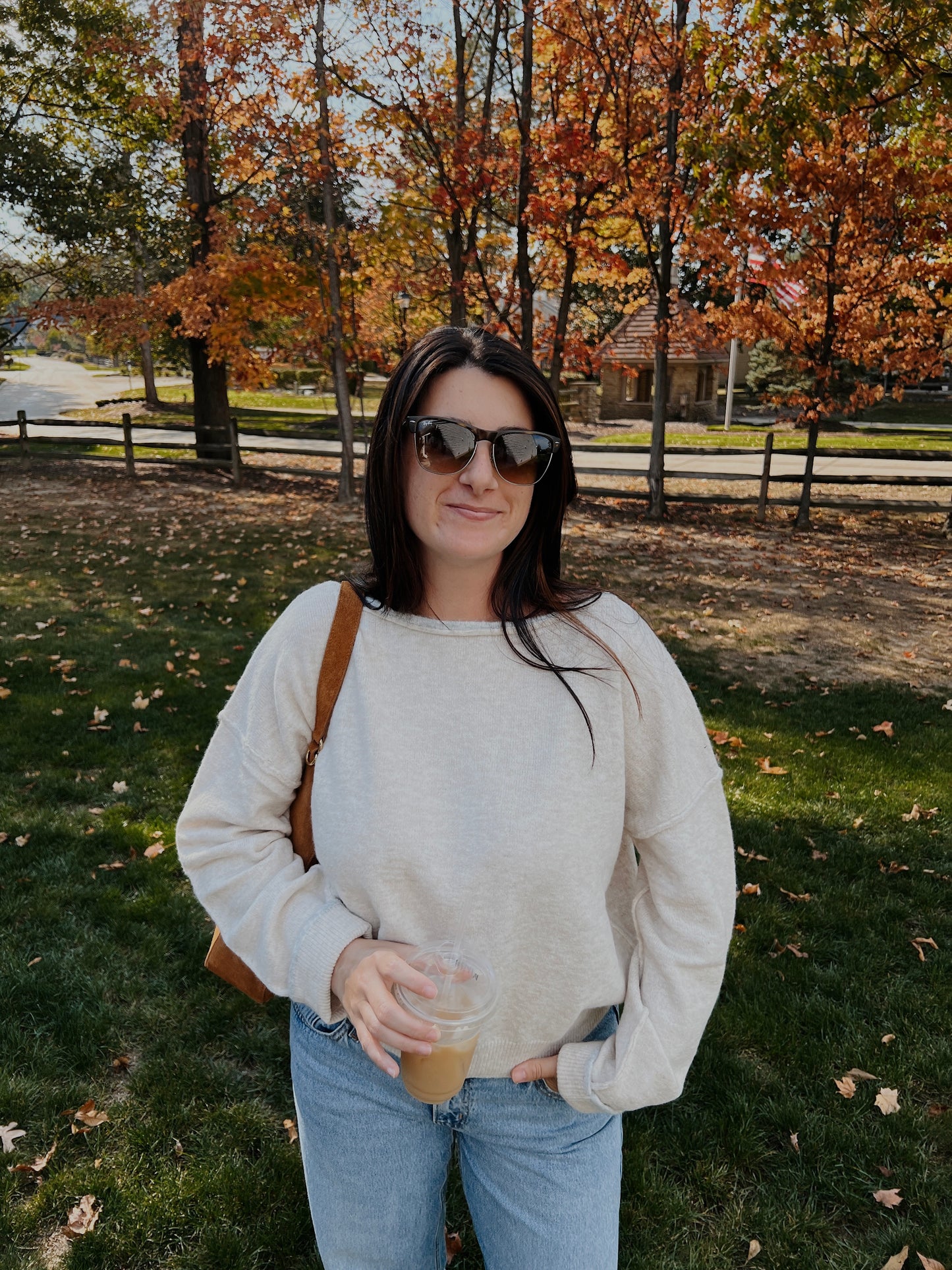 Heathered Knit Sweater (2 colors)