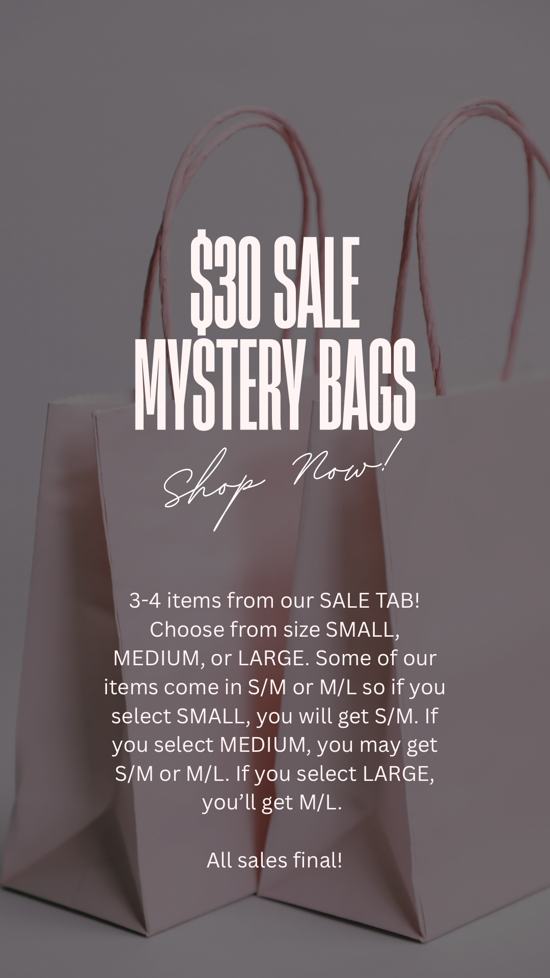 $30 SALE Mystery Bag