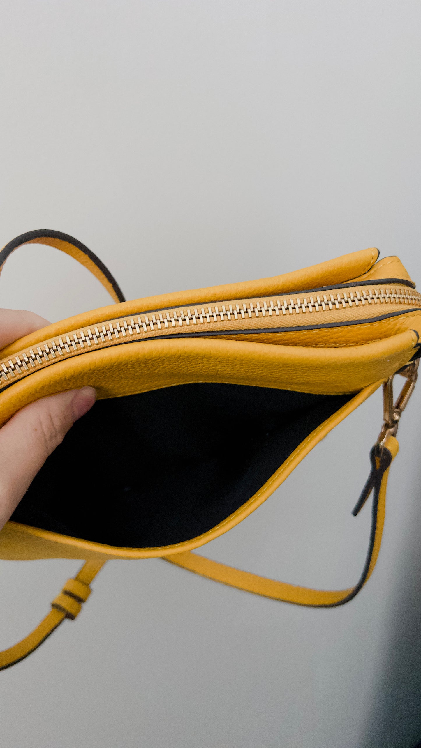 Vince Camuto Purse