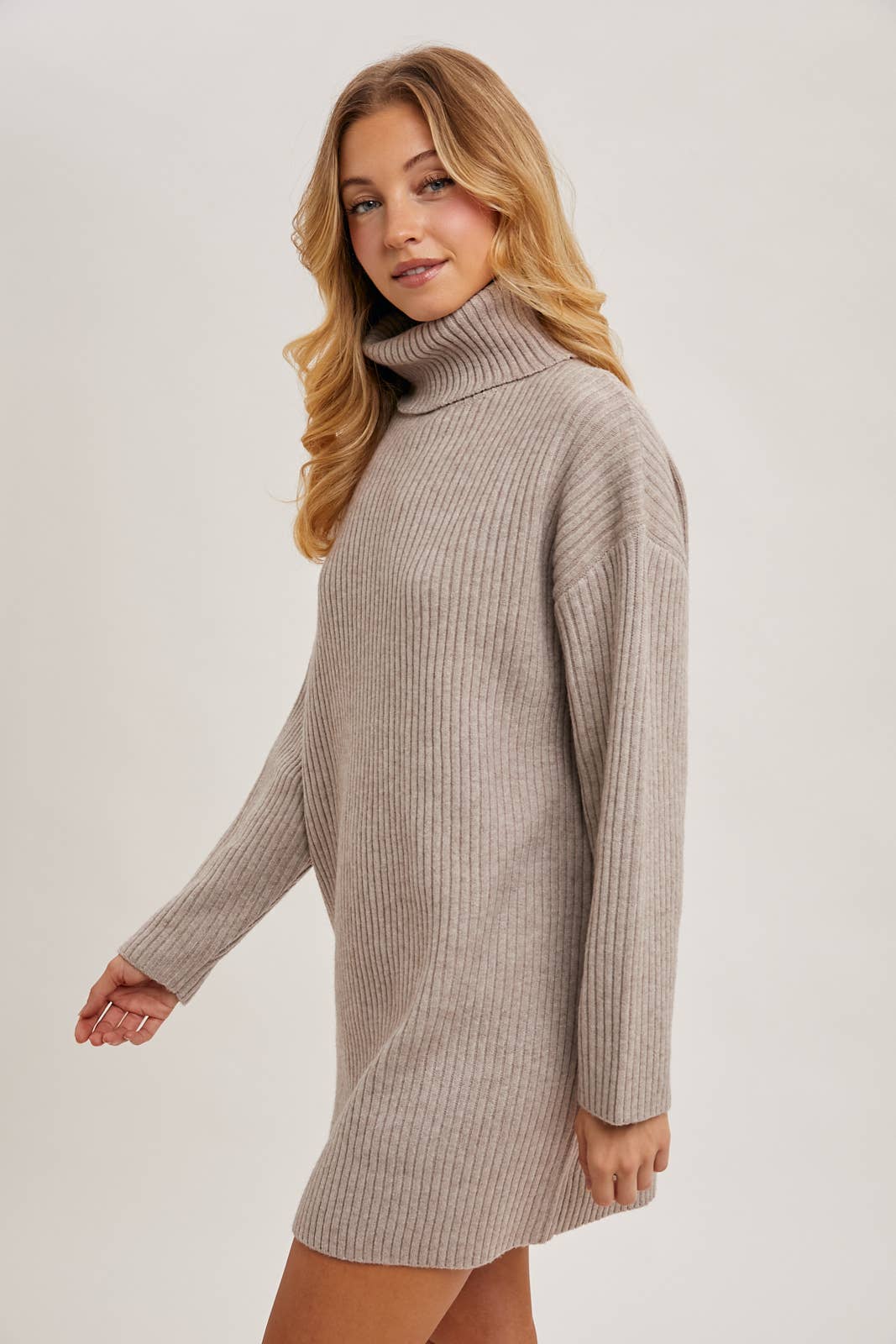 Turtle Neck Sweater Dress