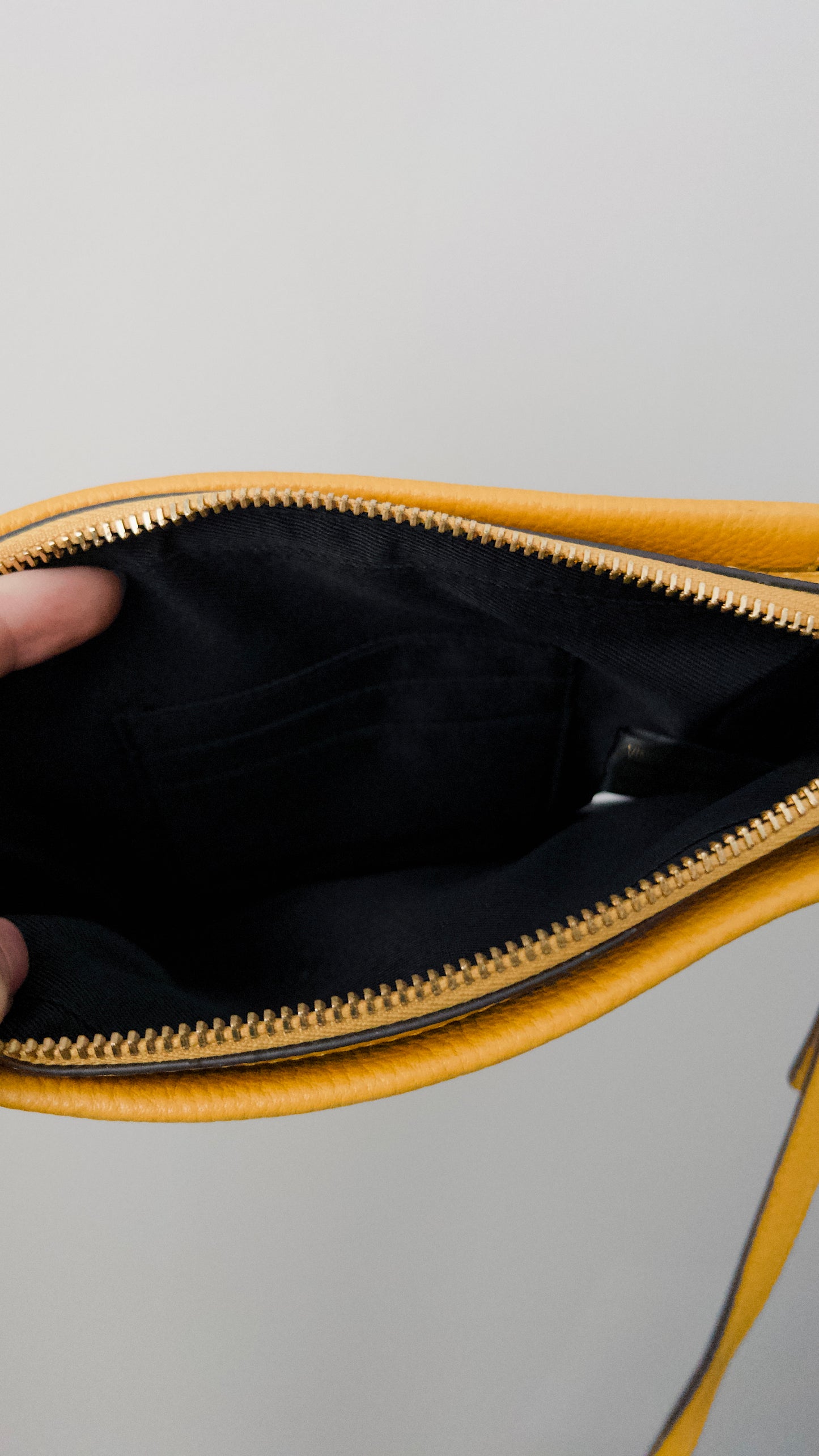 Vince Camuto Purse