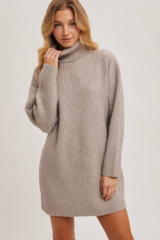 Turtle Neck Sweater Dress