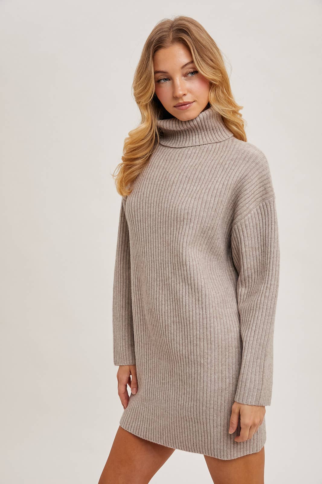 Turtle Neck Sweater Dress