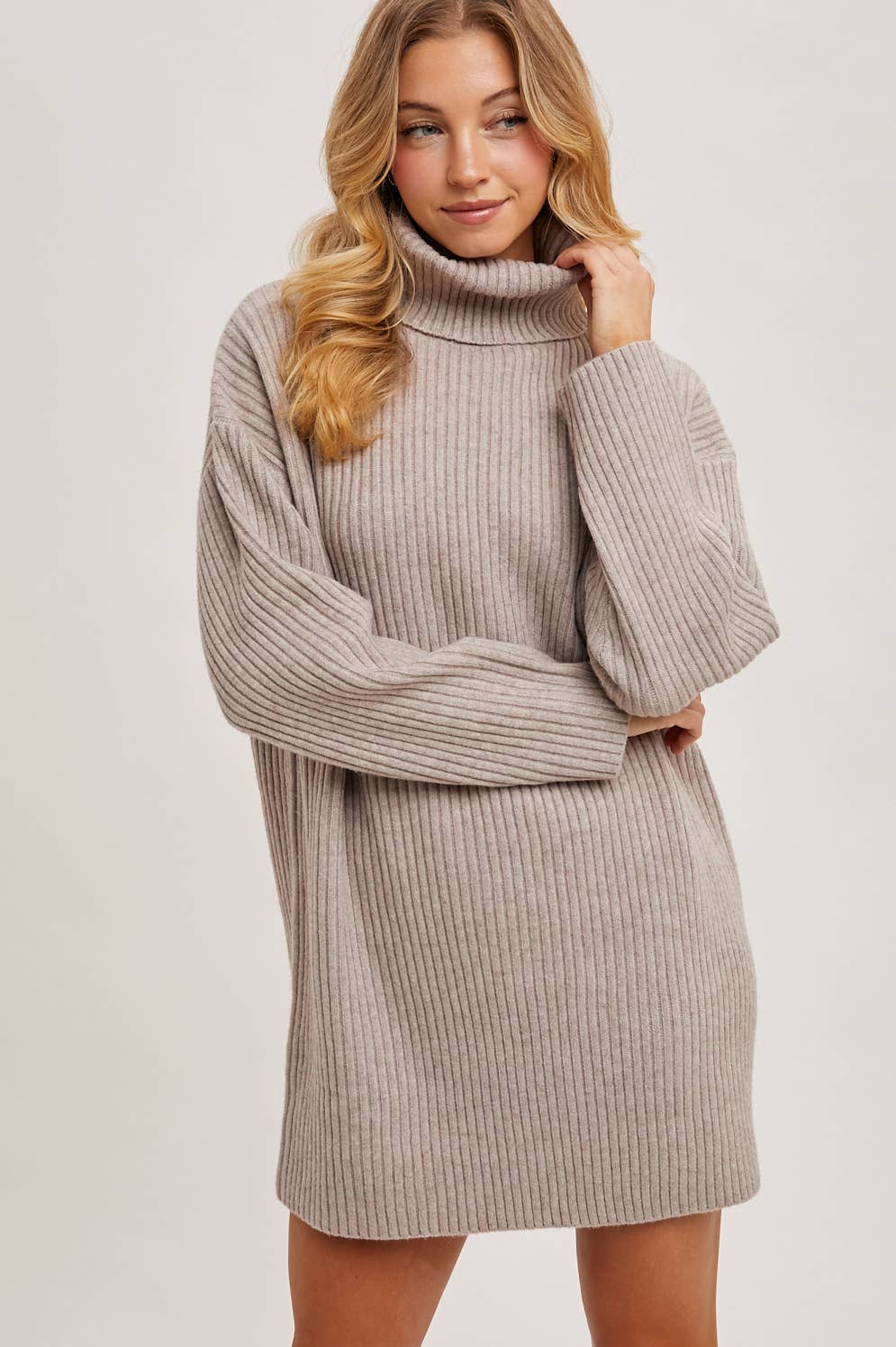 Turtle Neck Sweater Dress