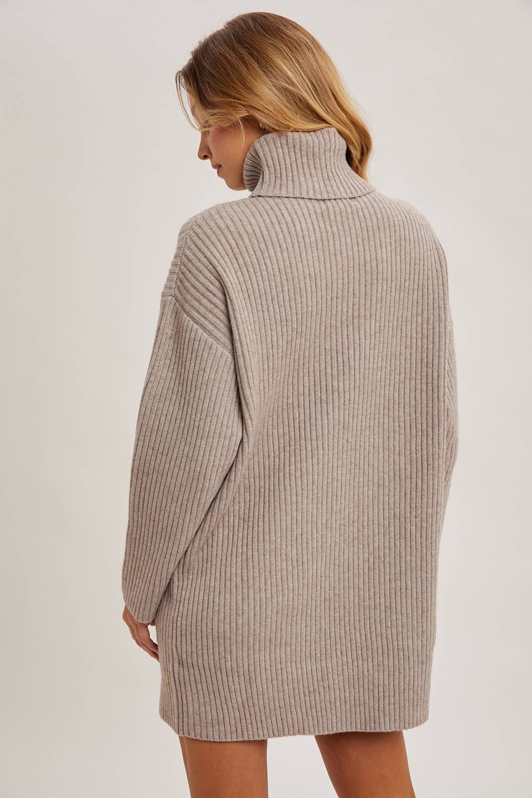 Turtle Neck Sweater Dress